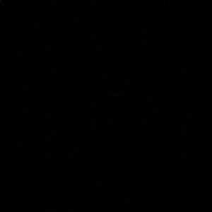 Meet your Posher, Marleny